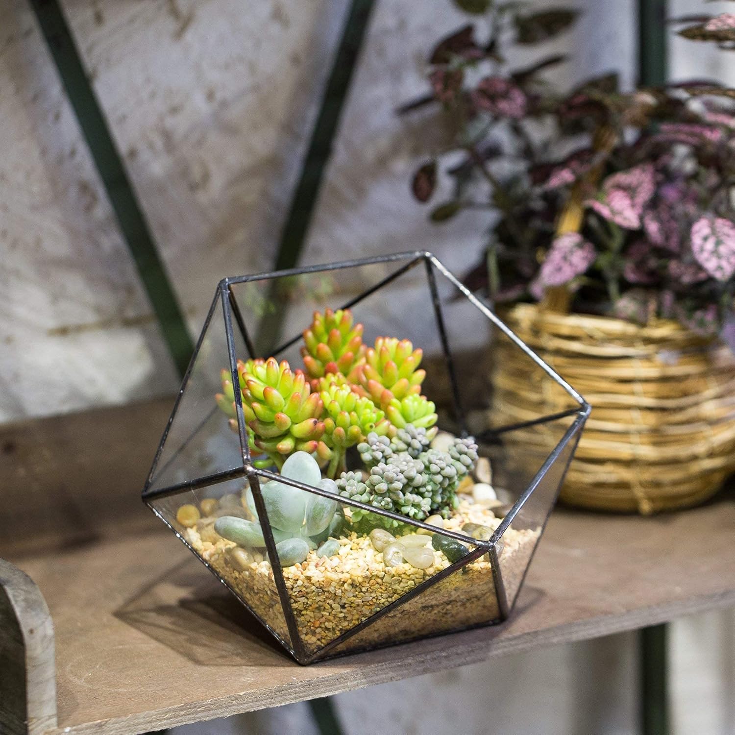 Set of 2 Geometric Glass Terra - đánh giá và giá Glass Container Set