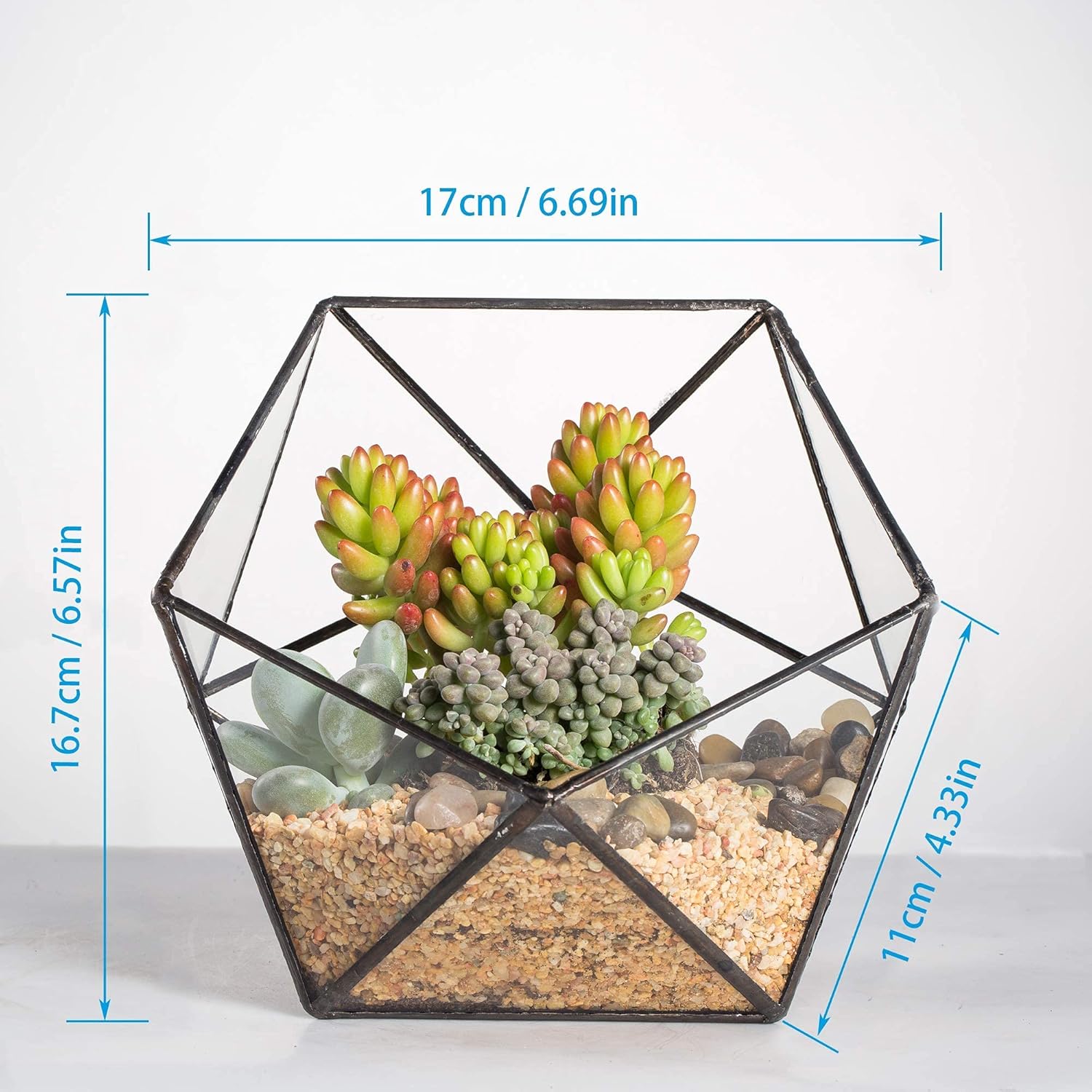 Set of 2 Geometric Glass Terra - đánh giá và giá Glass Container Set